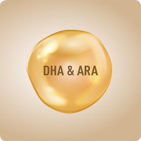 dha-ara.png