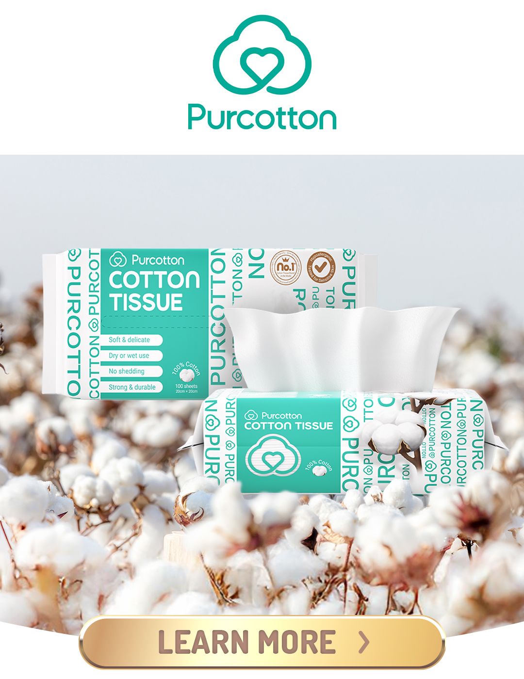 q1_awards-thumbnail-purcotton.jpg